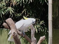 -上海野生动物园