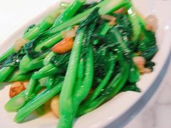 广东菜心-多多旺港式茶餐厅(新区店)