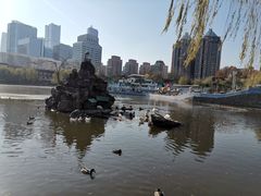 -团结湖公园