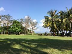 亚龙湾红树林度假酒店-三亚亚龙湾红树林度假酒店