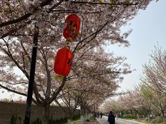 -古柏渡飞黄旅游区