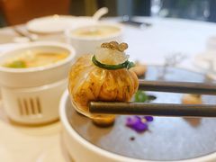 云南黑松露菌香布袋-翠府(翠湖北路店)