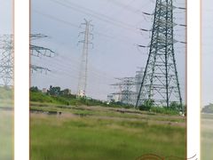 -王借岗森林公园