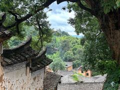 -杨家堂村