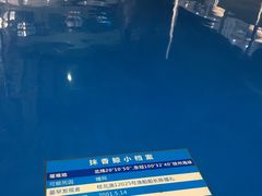-上海海洋大学鱼文化博物馆(军工路校区)