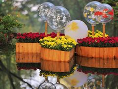 -上海共青森林公园