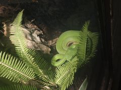 -昆明动物园
