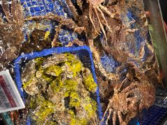 -高佳庄·舟山海鲜(海景旗舰店)