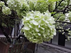 -古隆中景区