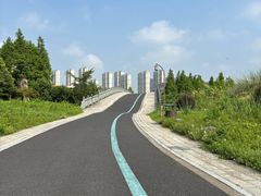-三垟湿地