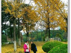 -昆山城市公园