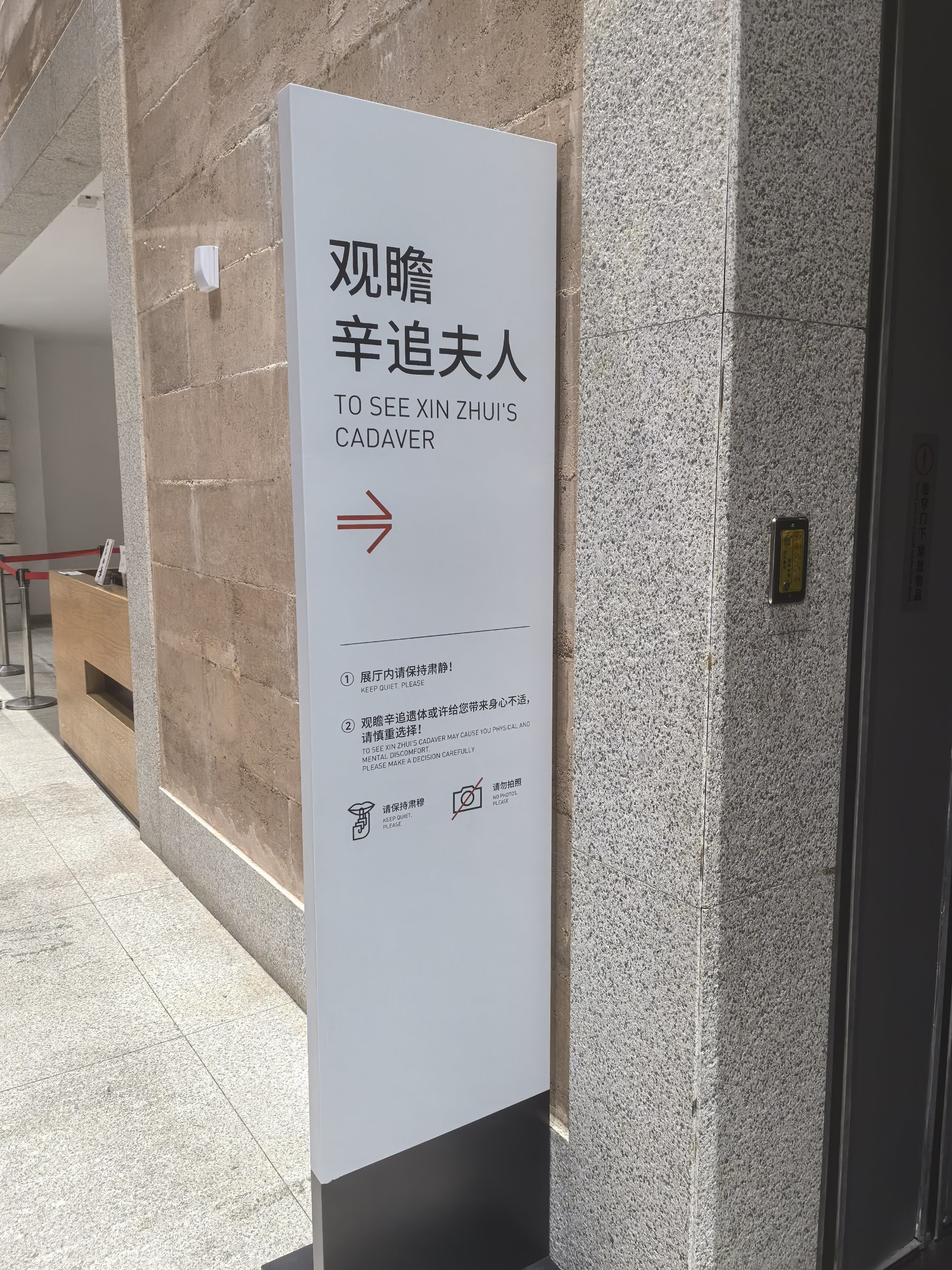 博物馆的奇妙游