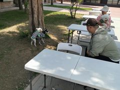 -小意思咖啡店(草桥店)