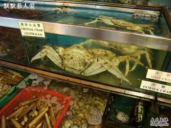 -南丫岛