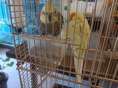 -潇湘·永州会馆(百子湾店)