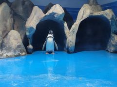 -青岛海底世界-水族馆