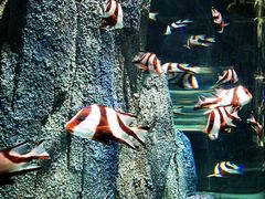 -福州罗源湾海洋世界旅游区