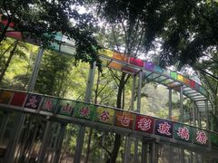 -大围山峡谷漂流