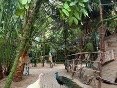 -呀路古热带植物园
