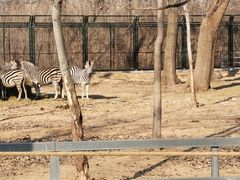 -秦皇岛野生动物园