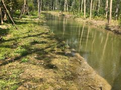 -合肥滨湖国家森林公园