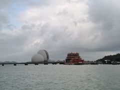 -野狸岛