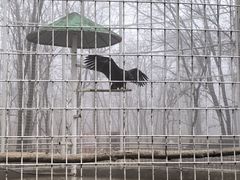 -秦皇岛野生动物园