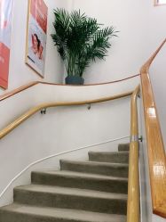 -WENDY·温迪皮肤管理