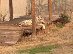 -无锡动物园·太湖欢乐园