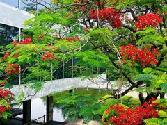 -燕晗山郊野公园