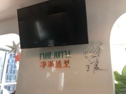 -净漪造型 PURE RIPPLE