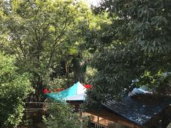-张鸟园农家乐(张鸟园店)
