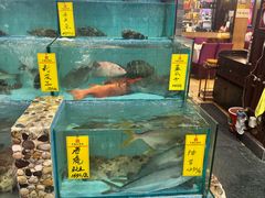 -有腥气私房菜·寻味顺德