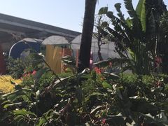 -新地休闲农场