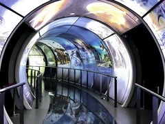 -房山世界地质公园博物馆