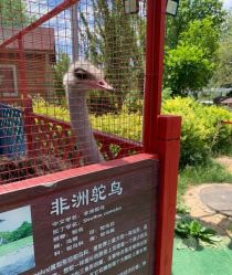 -萌宠亲子动物乐园(槐房万达店)