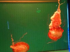 -厦门海底世界