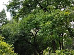 -元大都城垣遗址公园