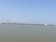 -大湾区中央湿地公园