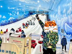 -世界之窗阿尔卑斯冰雪世界