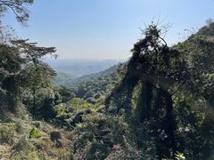 -广州市白云山风景名胜区