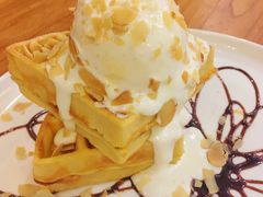 奶盖朱古力猫夫-more than meow吴止猫主题餐厅(承德 中船汇店)