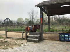 -溱湖国家湿地公园