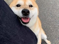 -九福楼大酒店
