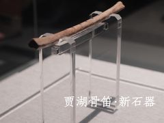 -河南博物院