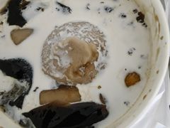 -鲜芋仙(番禺万达广场店)