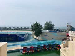 -秦皇岛乐岛海洋王国