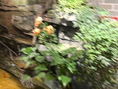 -顺德渔村·岭南一号