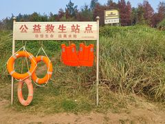 -金海湾滨江公园