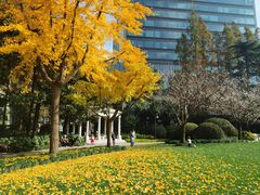 -静安公园(静安寺街道)